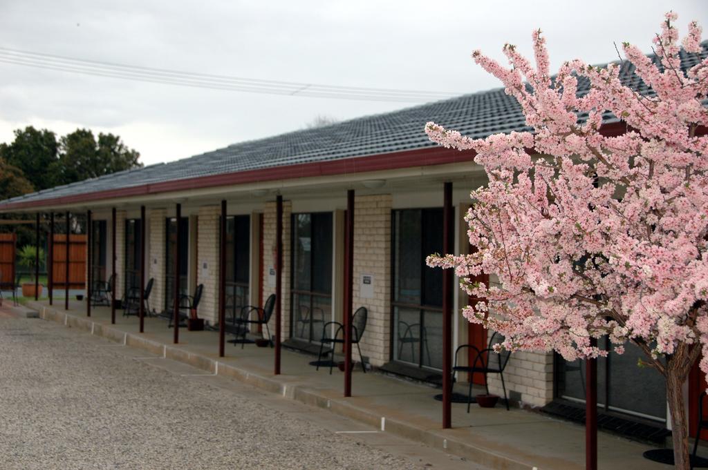 Motel Woongarra Rutherglen Exterior photo